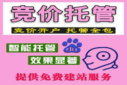 某品牌抖音信息流广告的投放过程与效果评估
